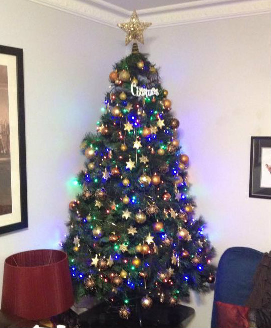 Christmas Tree Decorating Ideas